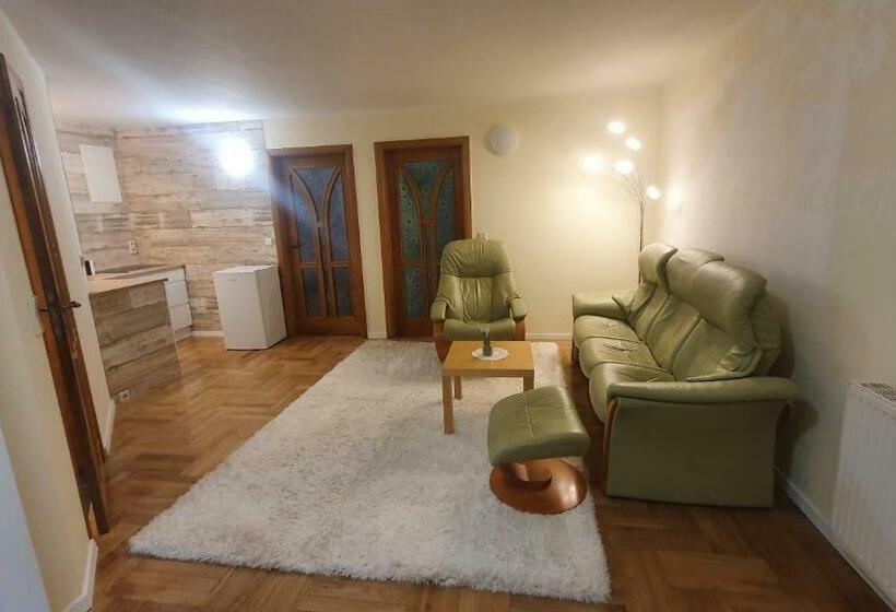Апартаменты 1 Спальня с Террасой, Pension Nippgen