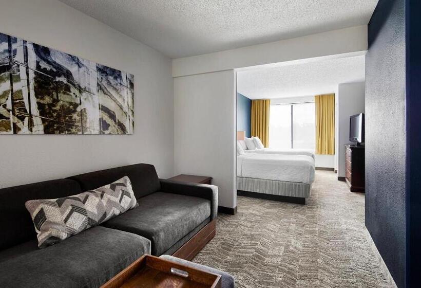 Люкс, Springhill Suites By Marriott Richmond North/glen Allen
