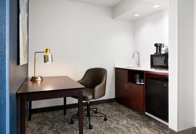 장애인을 위한 스위트, Springhill Suites By Marriott Richmond North/glen Allen