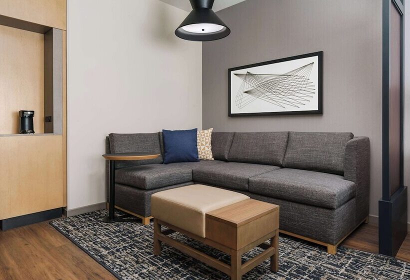 身障者適用スイートルーム, Hyatt Place National Harbor