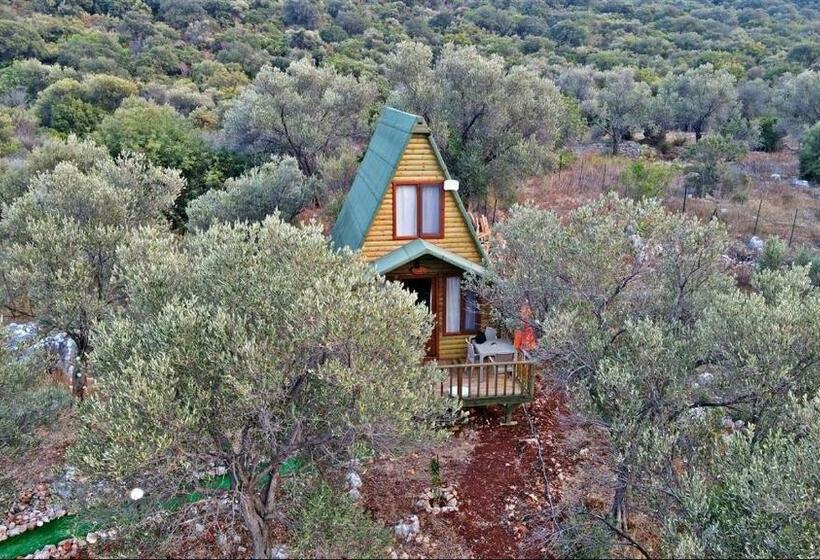 بنگله خانوادگی, Kaş Hi̇story Li̇manağzi