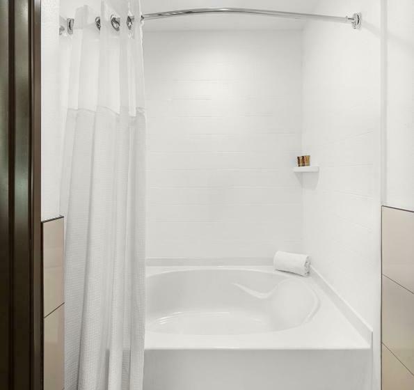 Номер Deluxe Кровать Кинг, Ayres Hotel Vista Carlsbad