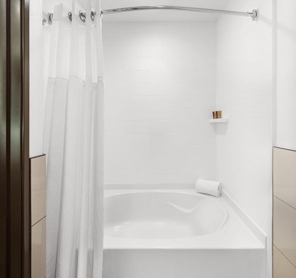Номер Deluxe, Ayres Hotel Vista Carlsbad