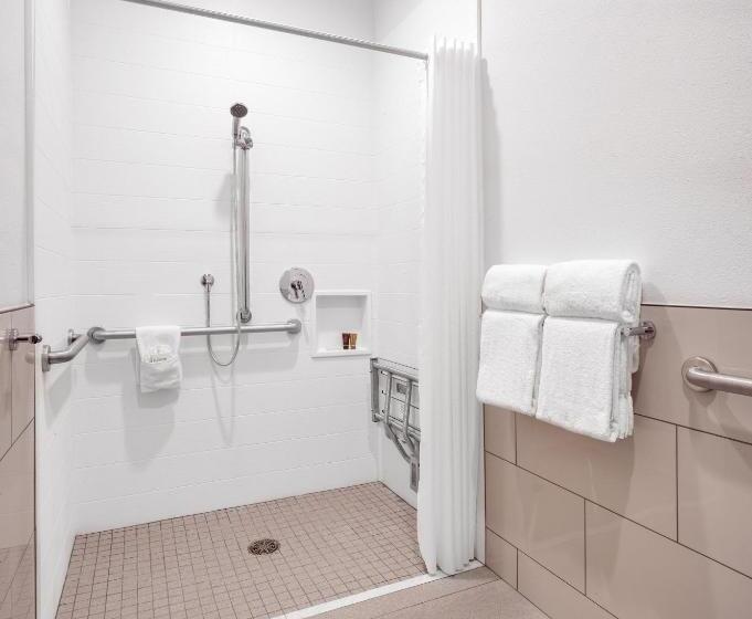 Номер Стандарт Кровать Кинг Адаптированный для Инвалидов, Ayres Hotel Vista Carlsbad