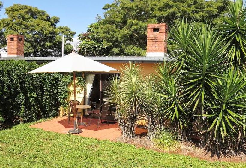 스탠다드 룸 킹사이즈 침대, Gumtree On Gillies Bed And Breakfast