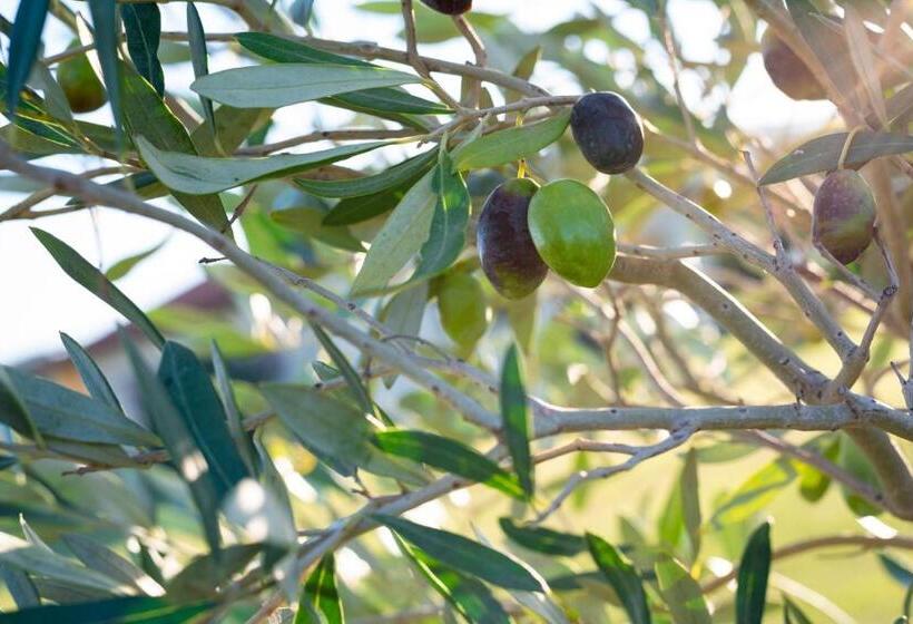 غرفة عائلية مطلّة علي الحديقة, Agriturismo Terre Di Castiglione