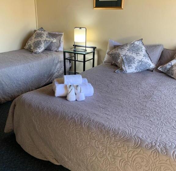 디럭스 룸 킹사이즈 침대, Temora Motel