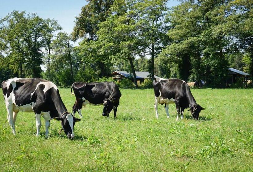 Апартаменты 1 Спальня Вид на Сад, Landrijk De Reesprong Boerderij