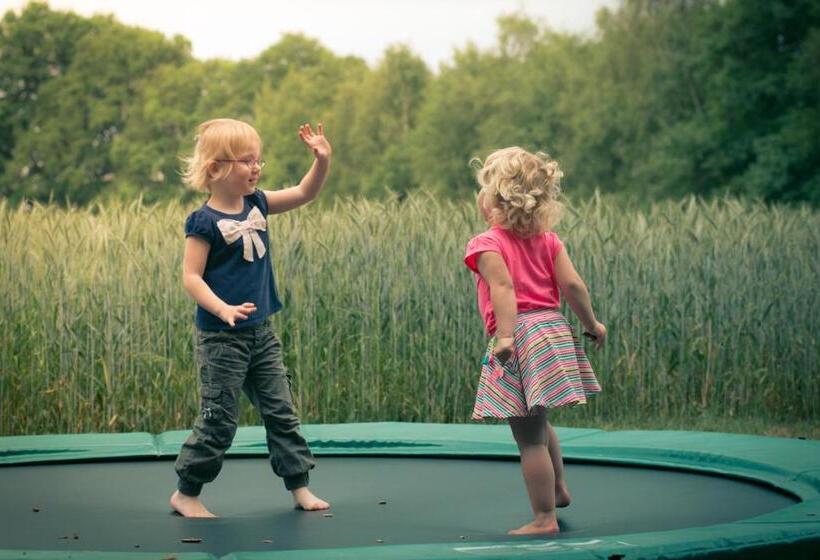 Дом 3 Спальни, Landrijk De Reesprong Boerderij