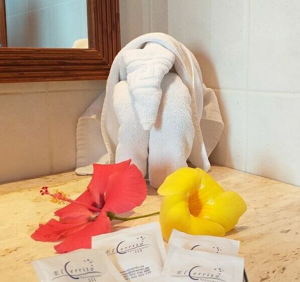 带1个卧室的公寓, Aparthotel El Cerrito