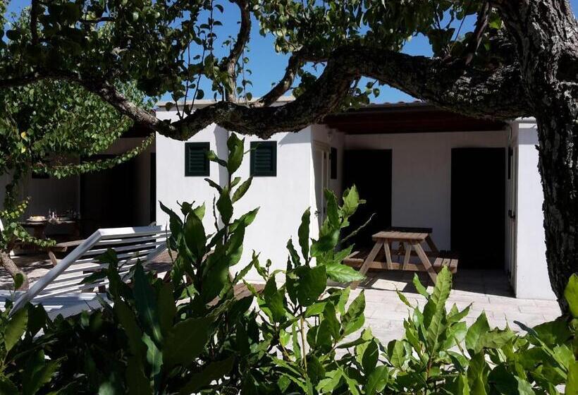Студия Стандарт, Agriturismo Vignavecchia