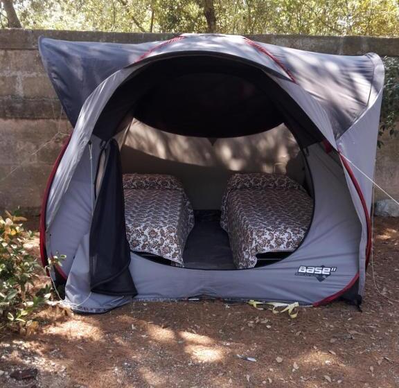 Standard Tent, Agriturismo Vignavecchia