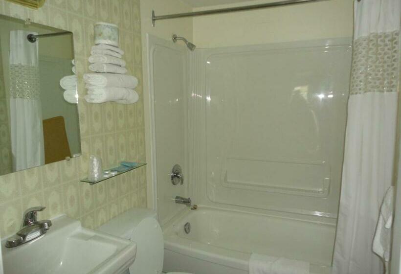 Standard studio with lake view, Sorrento Inn Motel