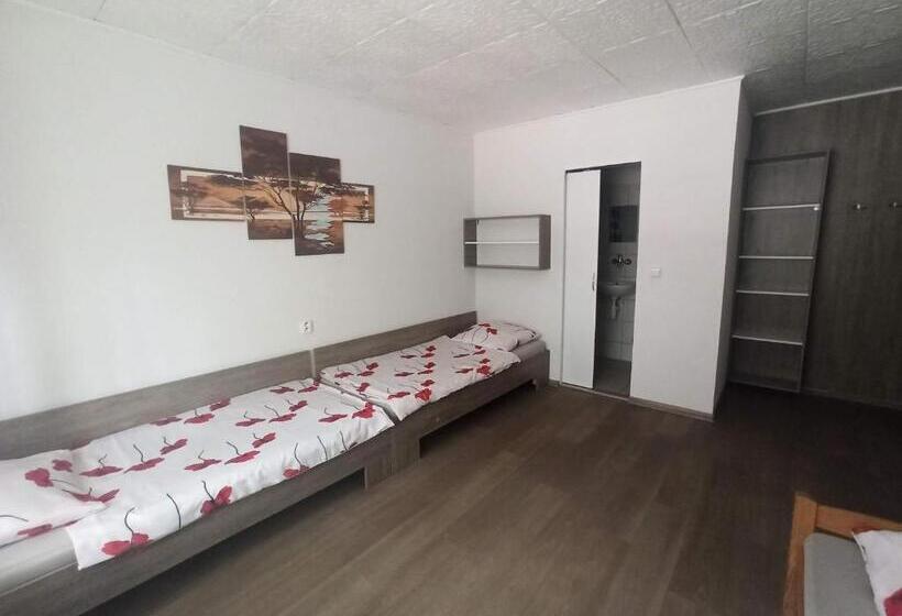 标准三人间, Motel šofér
