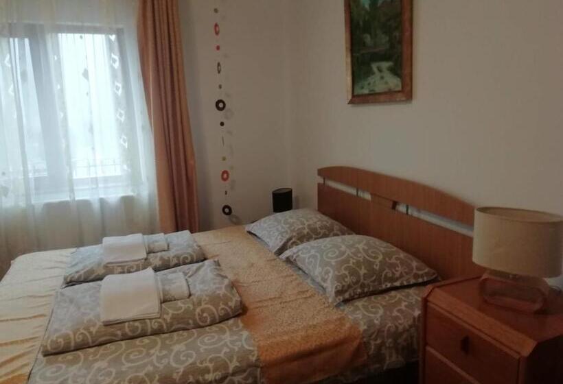 스탠다드 룸, Pensiunea Casa Butnarului