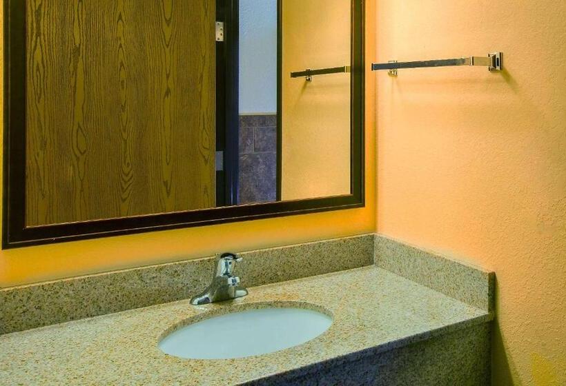 Номер Стандарт Кровать Кинг Адаптированный для Инвалидов, Americinn By Wyndham Chamberlain  Conference Center