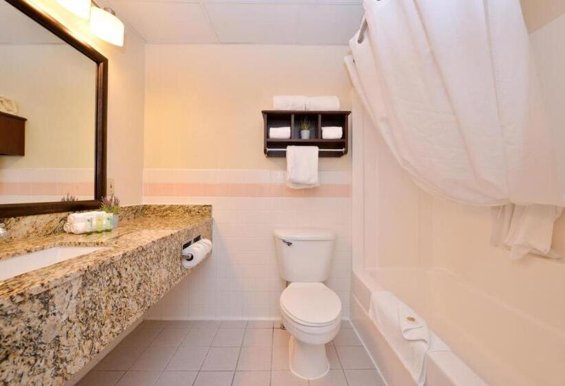 스탠다드 룸, Best Western Plus Sidney Lodge