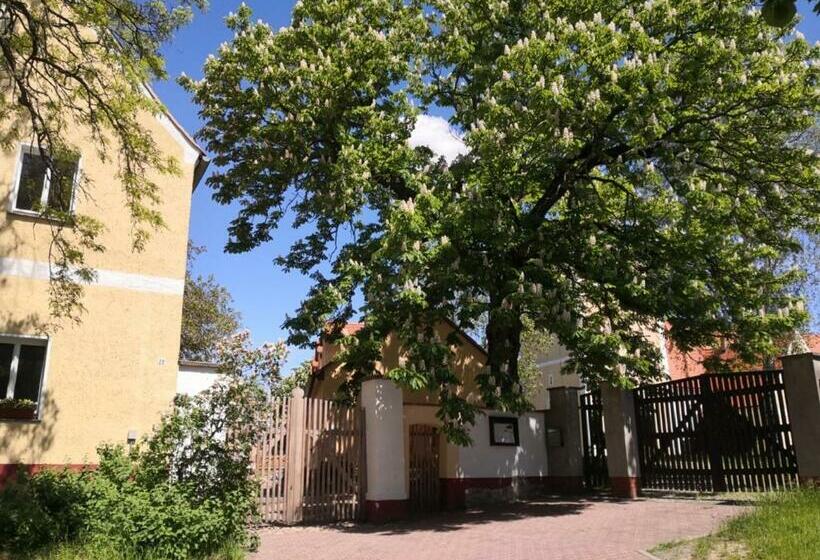 Номер Стандарт, Gästehaus Liemehna