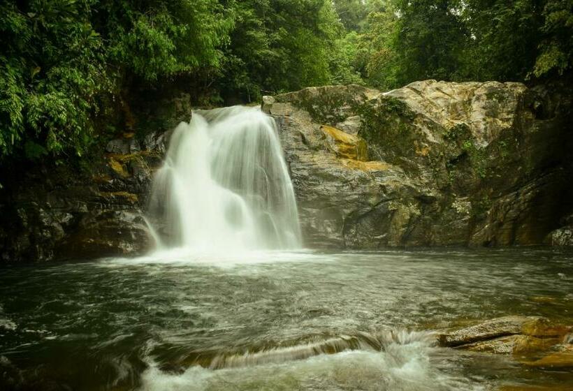 标准间带山景, Sinharaja Forest Gate