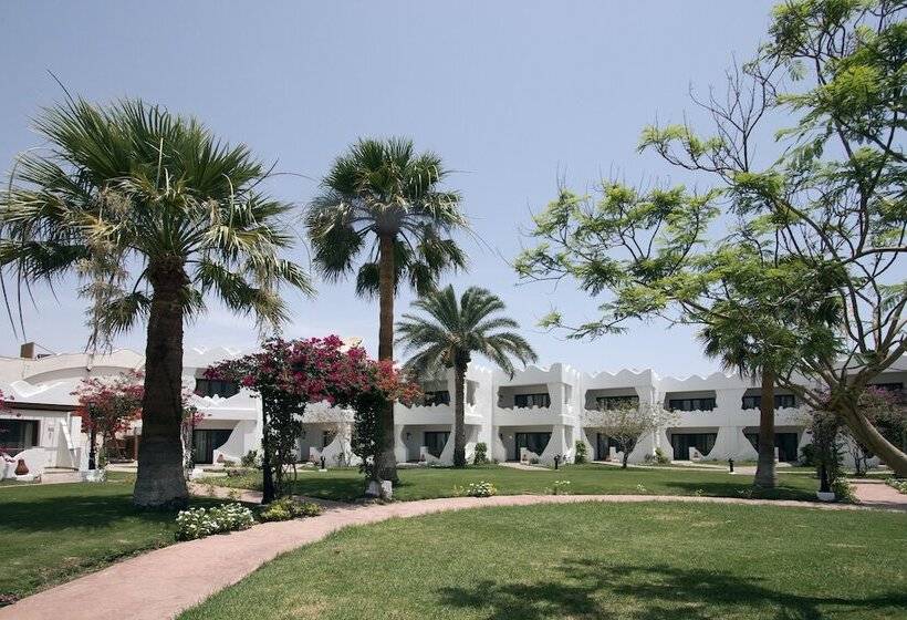 اتاق استاندارد, Swiss Inn Resort Dahab