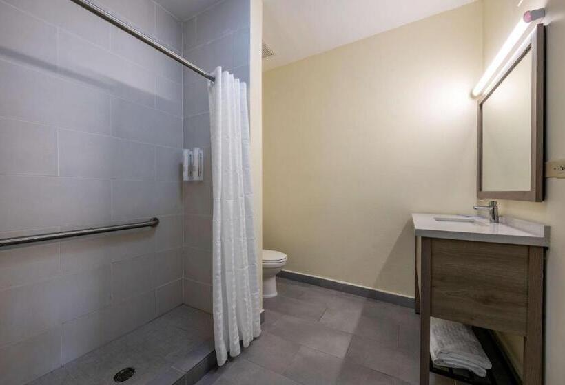اتاق استاندارد با چشم‌انداز شهر, Mayaguez Plaza, Bw Signature Collection