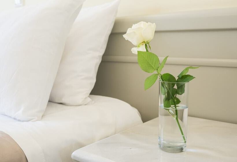 Premium Suite, Parnassos Delphi
