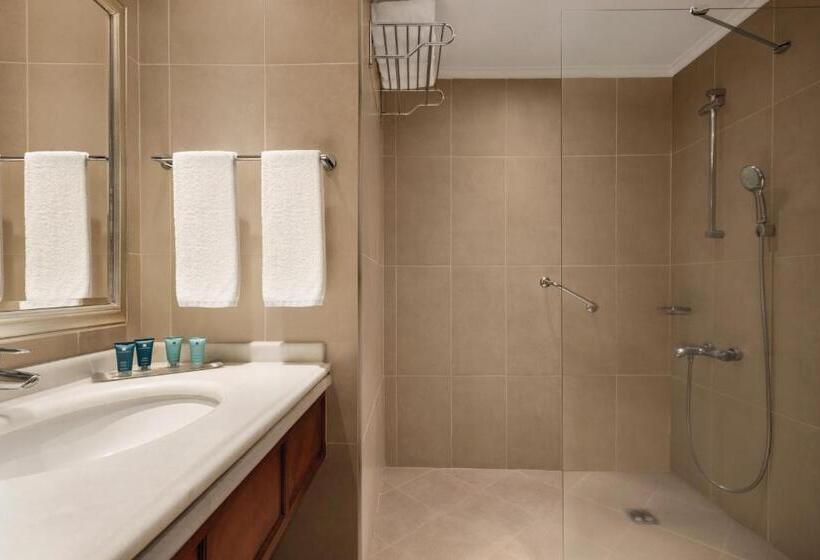 豪华房间, Wyndham Grand Kayseri
