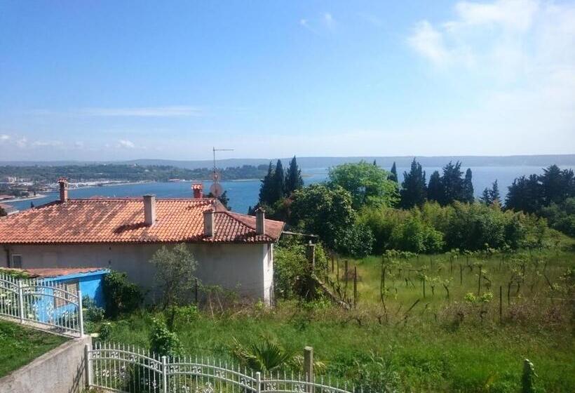 اتاق استاندارد با بالکن و چشم‌انداز دریا, Guest House Vila Luka