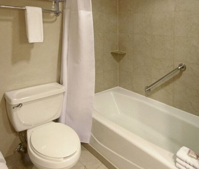 スタンダードルーム, Crowne Plaza Torreon, An Ihg