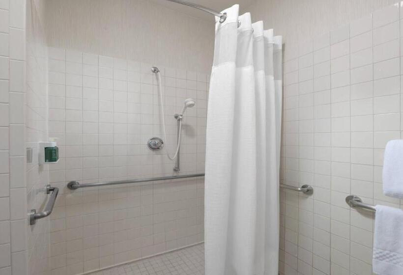 Suíte para Deficientes Físicos, Residence Inn Dallas Park Central