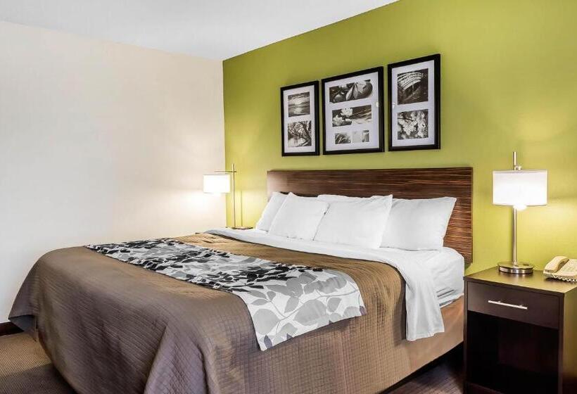스탠다드 룸 킹사이즈 침대, Sleep Inn & Suites Dothan North