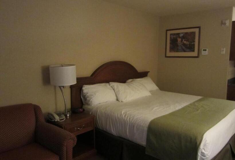 Номер бизнес-класса, Super 8 By Wyndham Fort St. John Bc