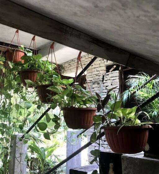 اتاق لوکس, Verdeamar Eco Lodge Jungle Retreat