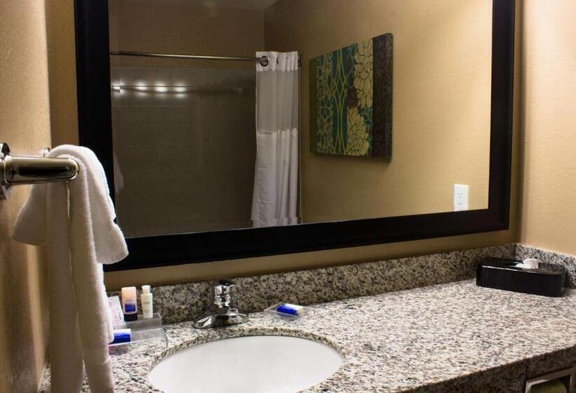 Студио Стандарт Кровать Кинг, Best Western Plus Menomonie Inn & Suites