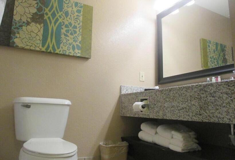 Люкс Deluxe Кровать Кинг, Best Western Plus Menomonie Inn & Suites