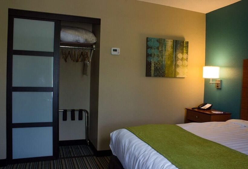 Люкс Кровать Кинг, Best Western Plus Menomonie Inn & Suites