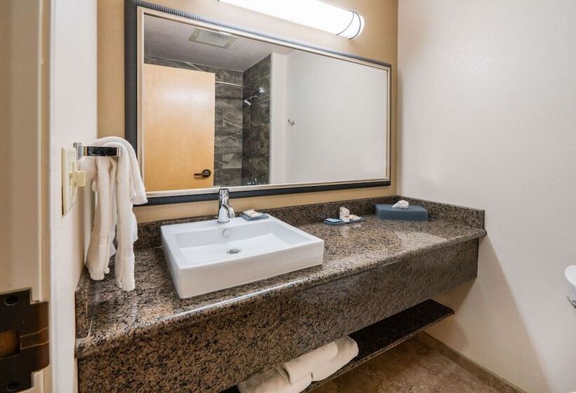 Номер Стандарт 2 Двуспальные Кровати, Best Western Plus Riverfront Hotel And Suites