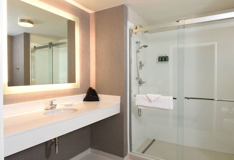 Люкс, Springhill Suites Des Moines West