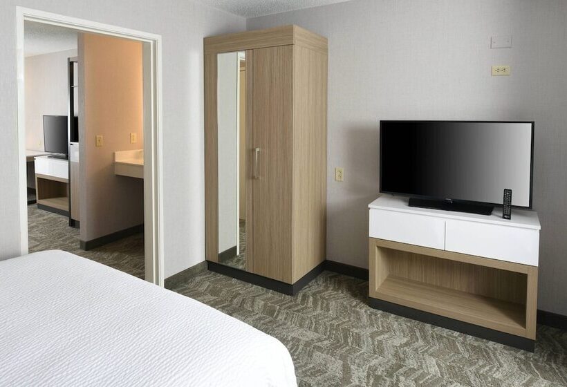 Люкс Адаптированный для Инвалидов, Springhill Suites Des Moines West