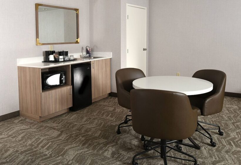 Люкс Адаптированный для Инвалидов, Springhill Suites Des Moines West