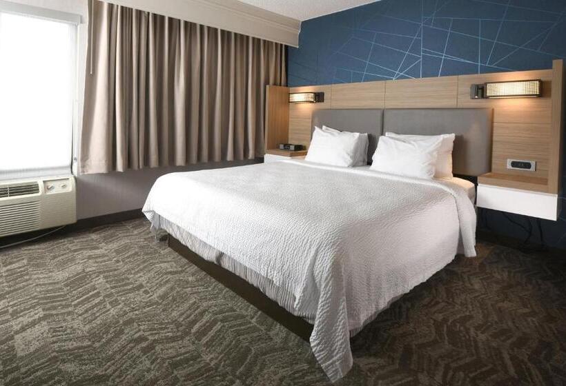 Люкс Адаптированный для Инвалидов, Springhill Suites Des Moines West