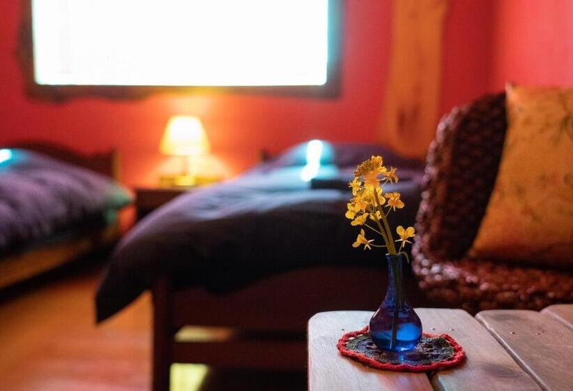 Номер Стандарт, Lodge Mondo