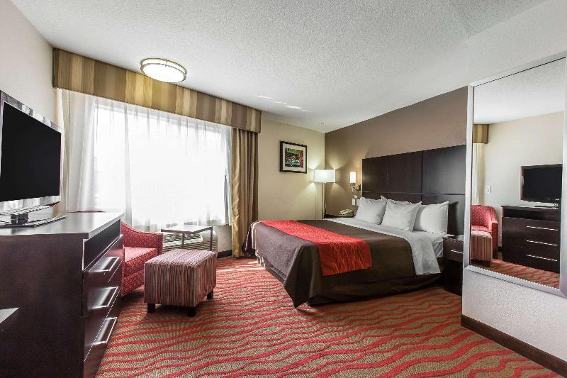 اتاق استاندارد با تخت بزرگ, Comfort Inn Los Angeles Near Hollywood