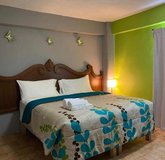 キングサイズベッドのスタンダードルーム, Cabo Tortuga Hotel Boutique