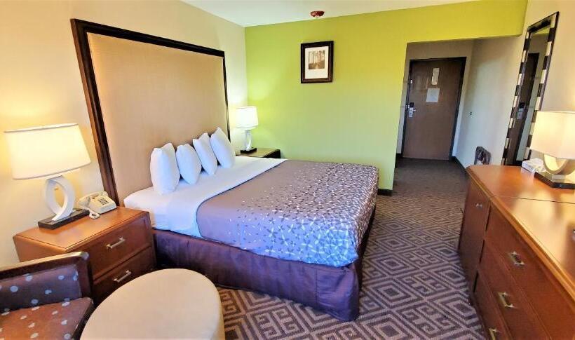 Номер Стандарт Кровать Кинг Адаптированный для Инвалидов, Travel Inn And Suites  Sikeston Miner I 55 Exit 67