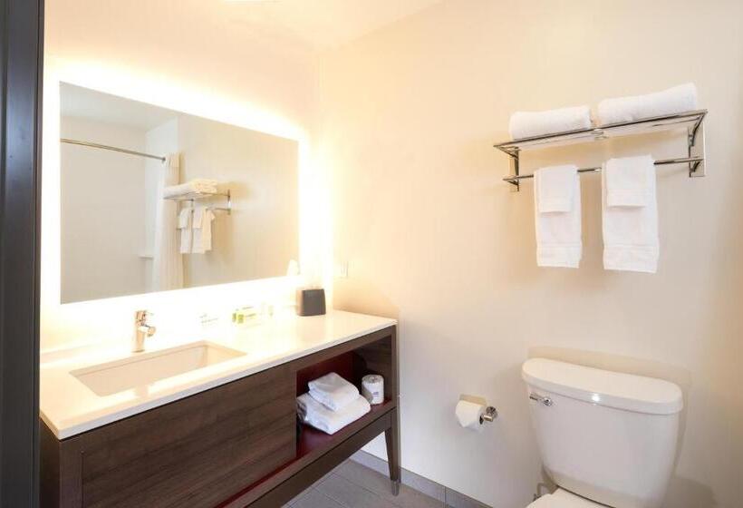 Номер Стандарт, Holiday Inn Hotel & Suites   Mount Pleasant, An Ihg