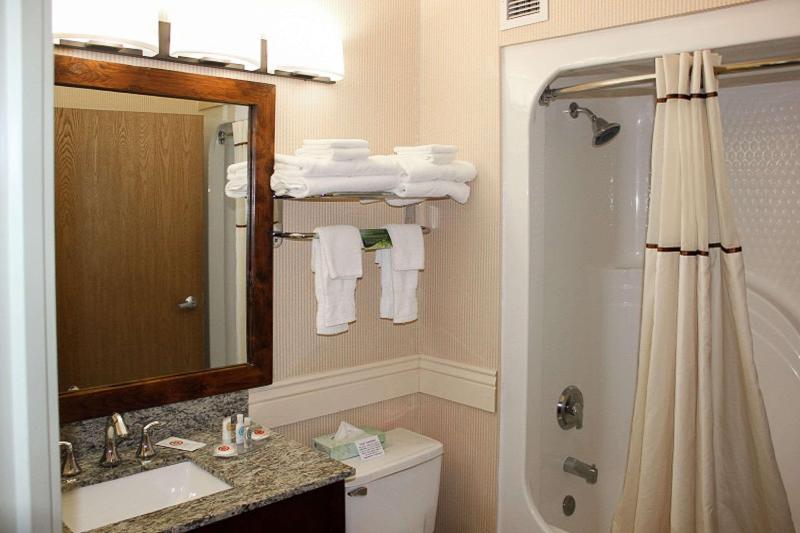 스탠다드 룸 킹사이즈 침대, Comfort Inn Richfield I70