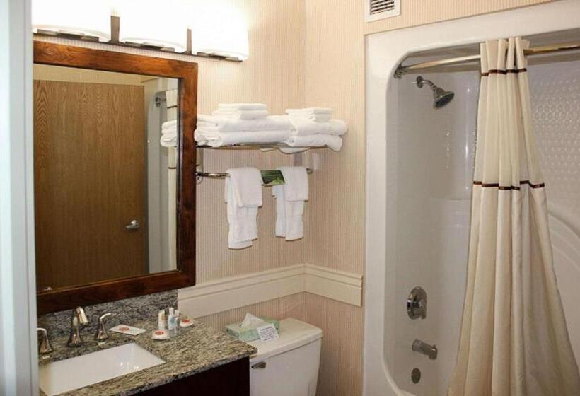 스탠다드 룸, Comfort Inn Richfield I70