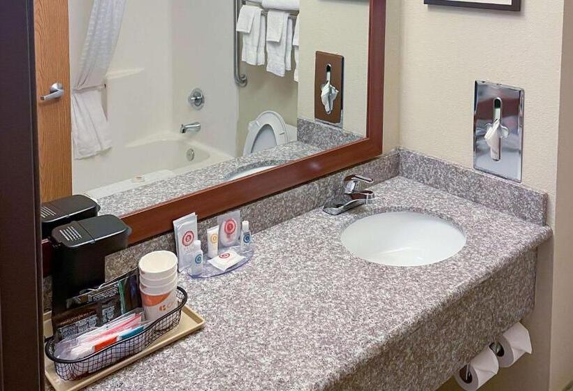 スタンダードルーム, Comfort Inn & Suites Midtown
