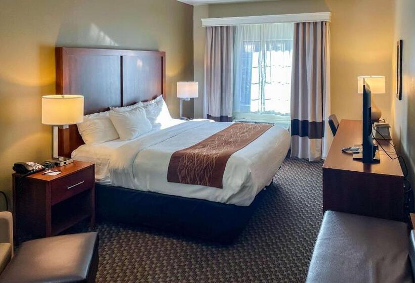 キングサイズベッドのスタンダードルーム, Comfort Inn & Suites Midtown